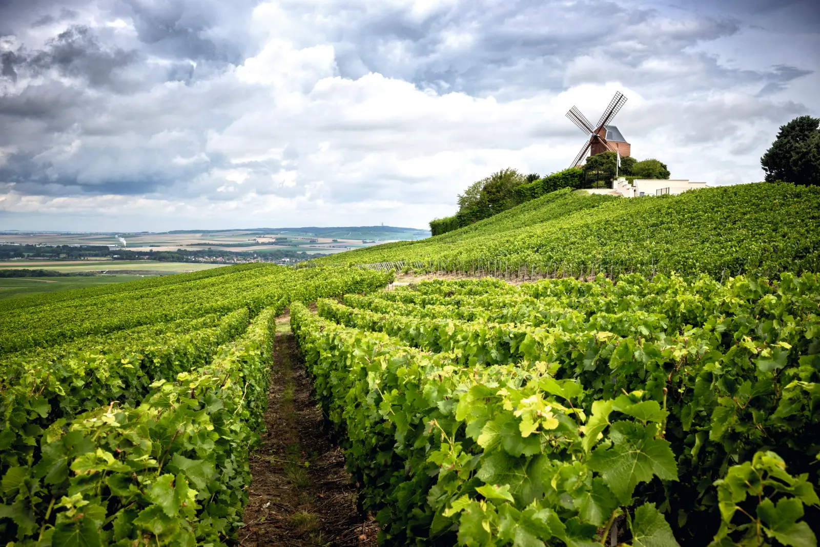 Bordeaux Weingüter Bild