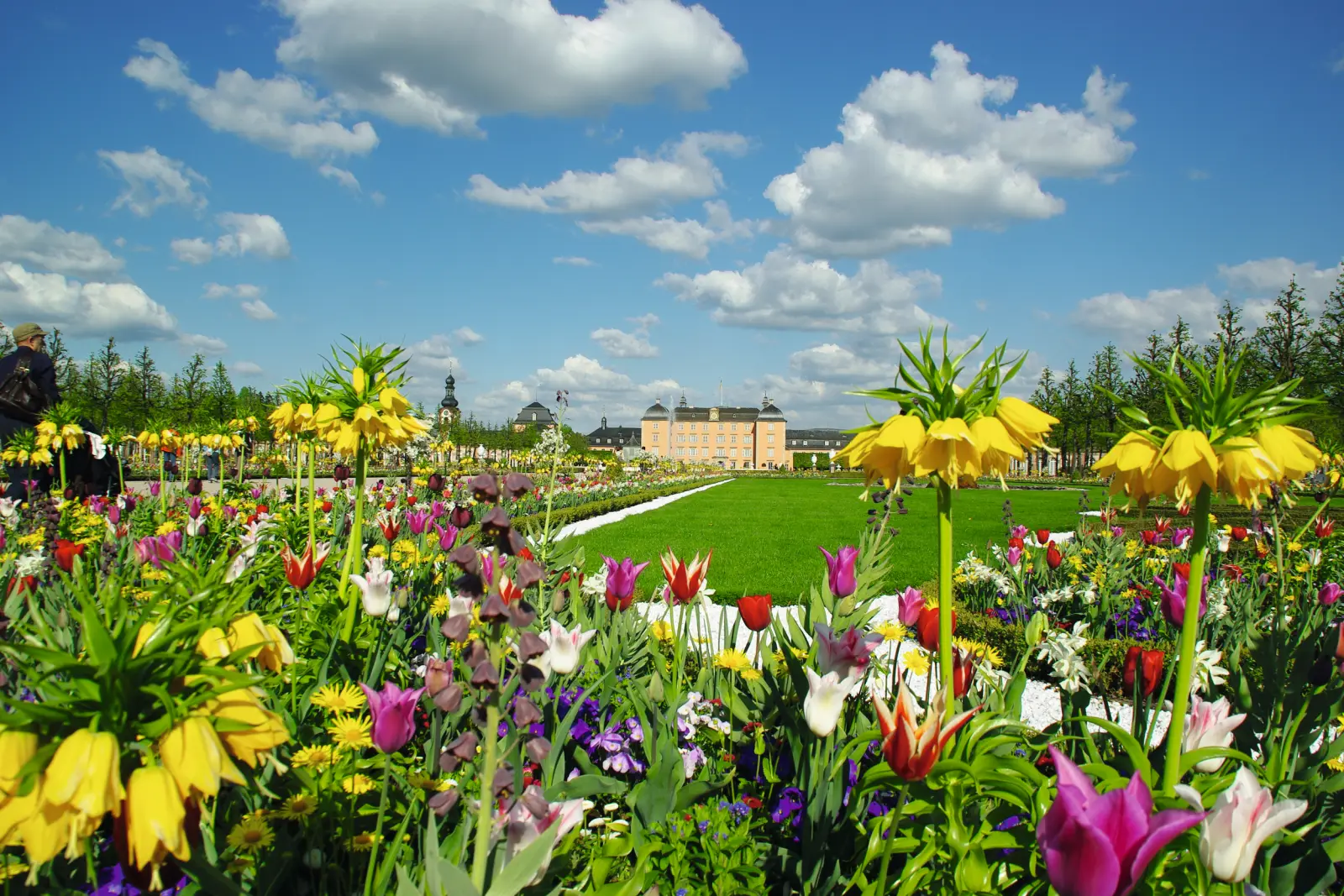 Parterre de fleurs jaunes et multicolores devant un bâtiment historique à l’arrière-plan.