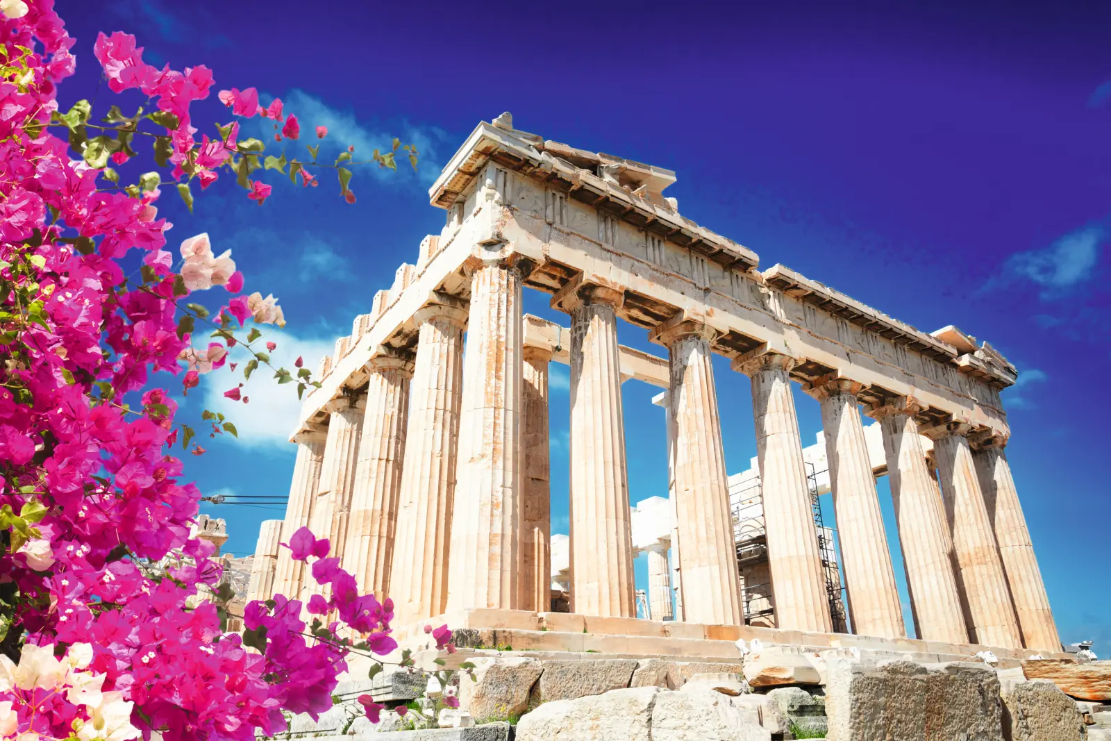 Temple du Parthénon à Athènes avec des fleurs roses au premier plan.