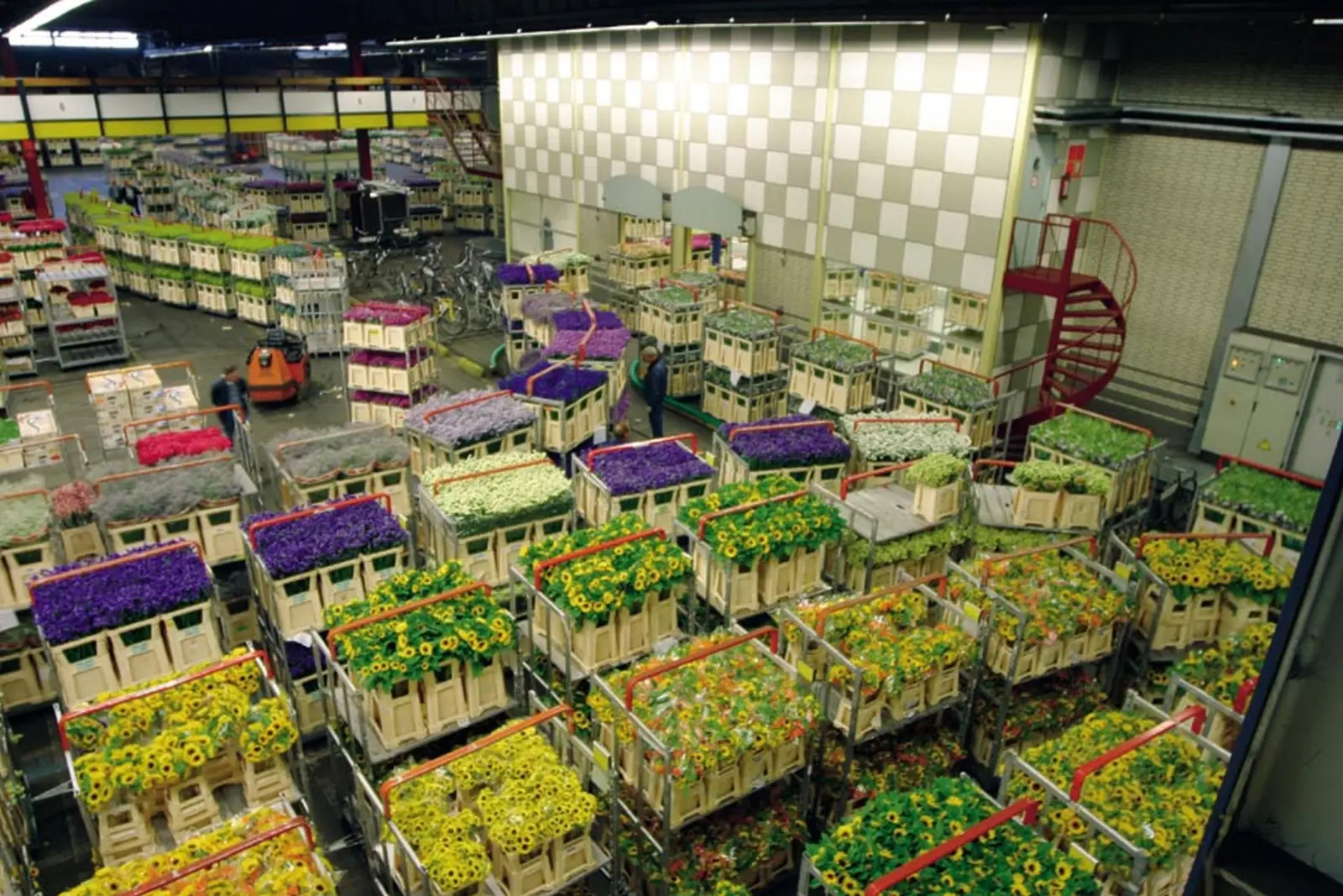 Blumenbörse Aalsmeer immagine
