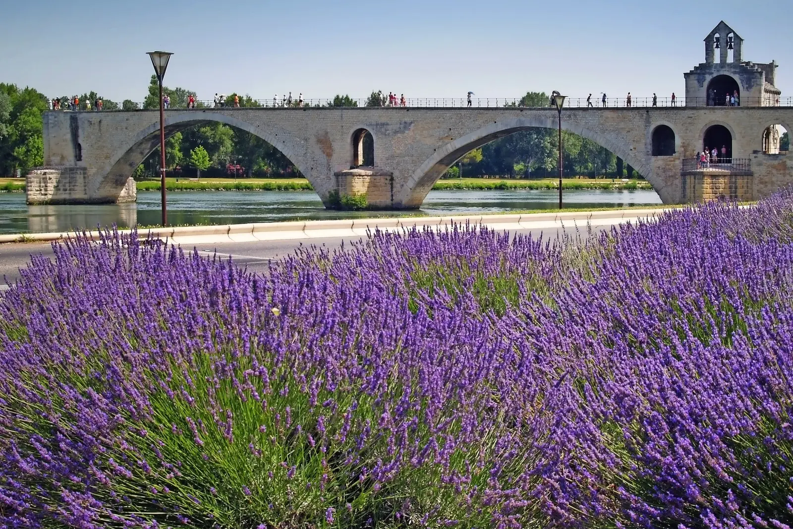 Pont d'Avignon image