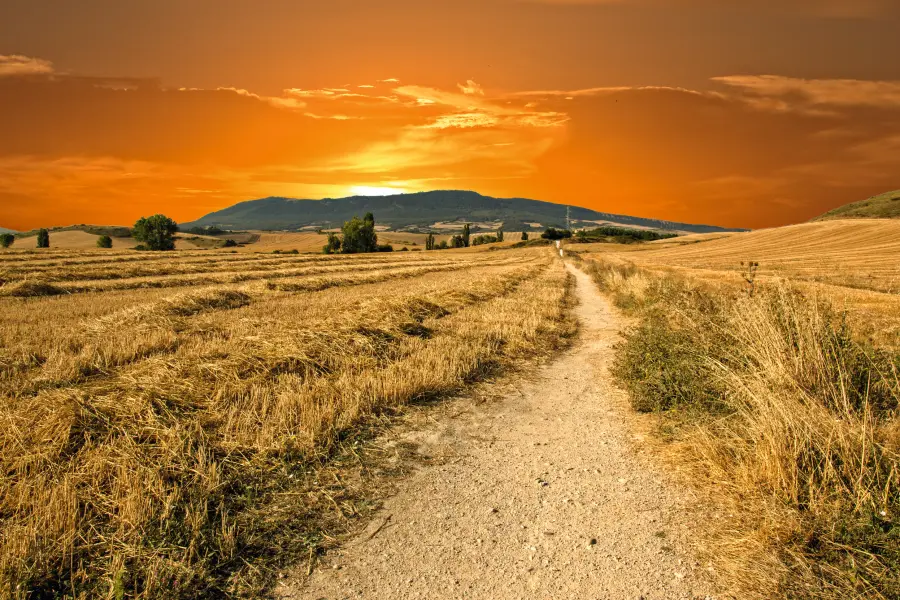 Camino de Santiago