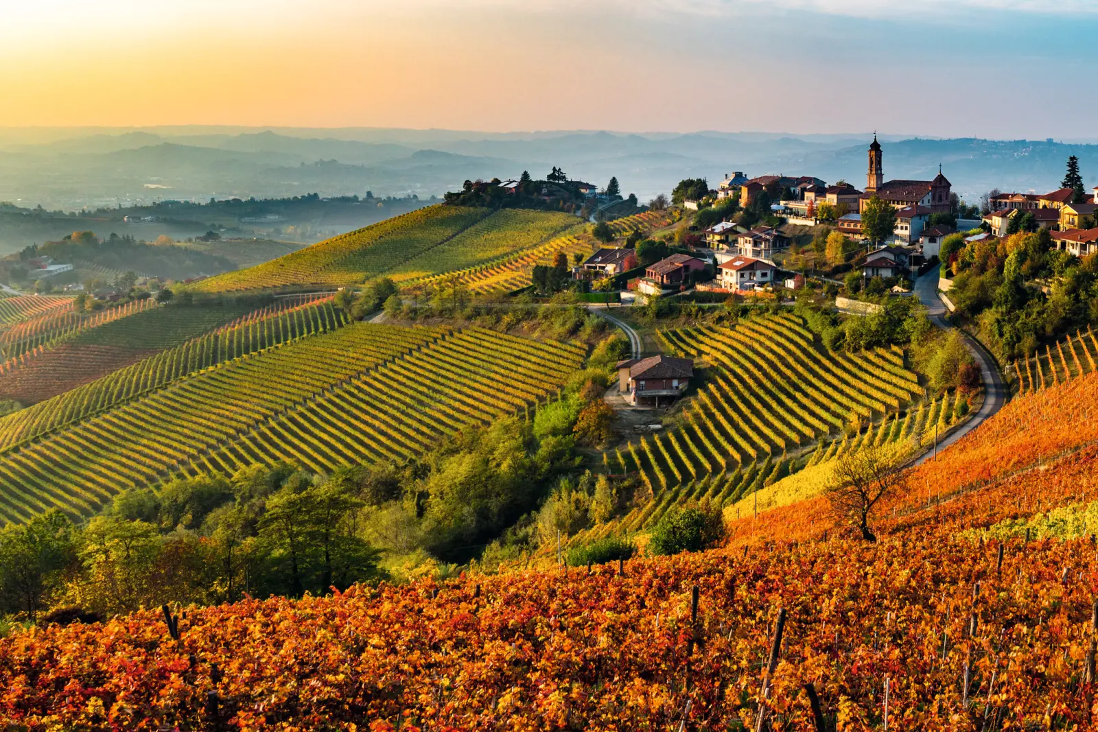 Vigneti autunnali con villaggio e colline in lontananza al tramonto.