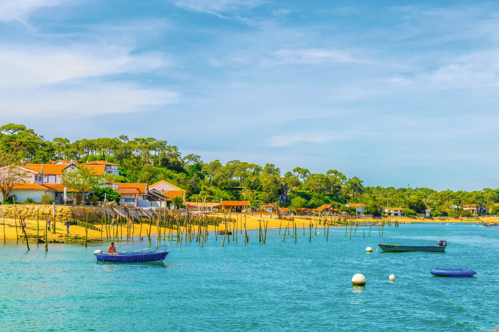 Baia di Arcachon immagine