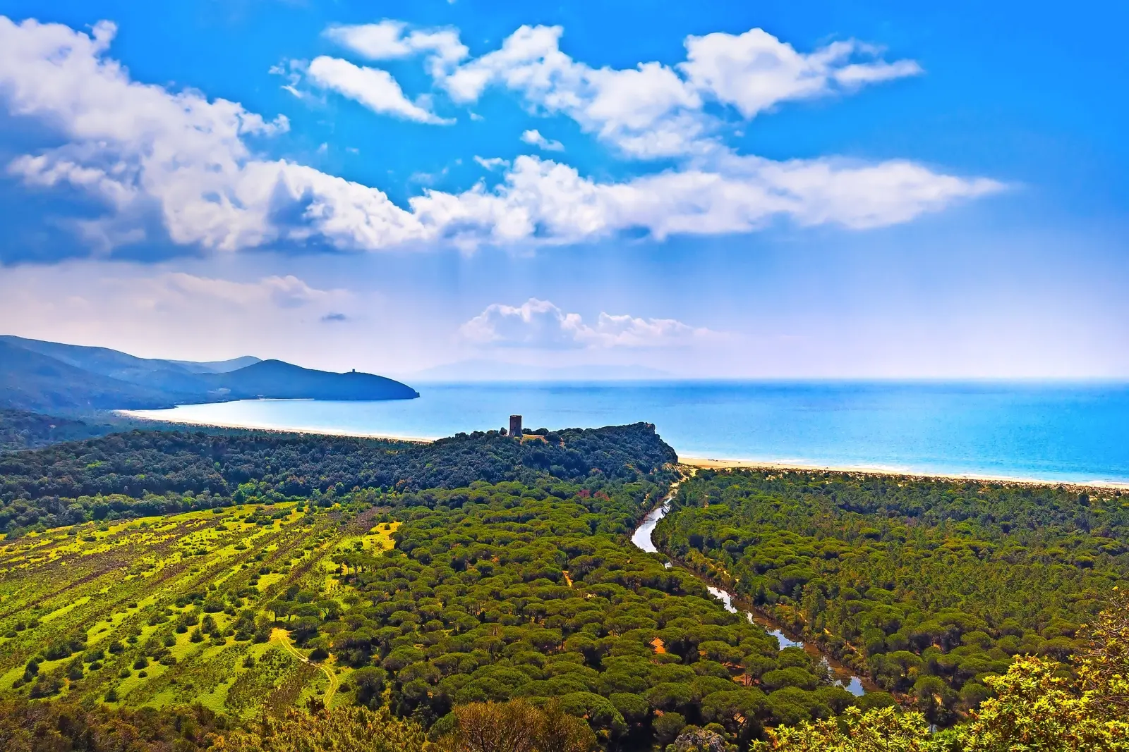 Maremma immagine