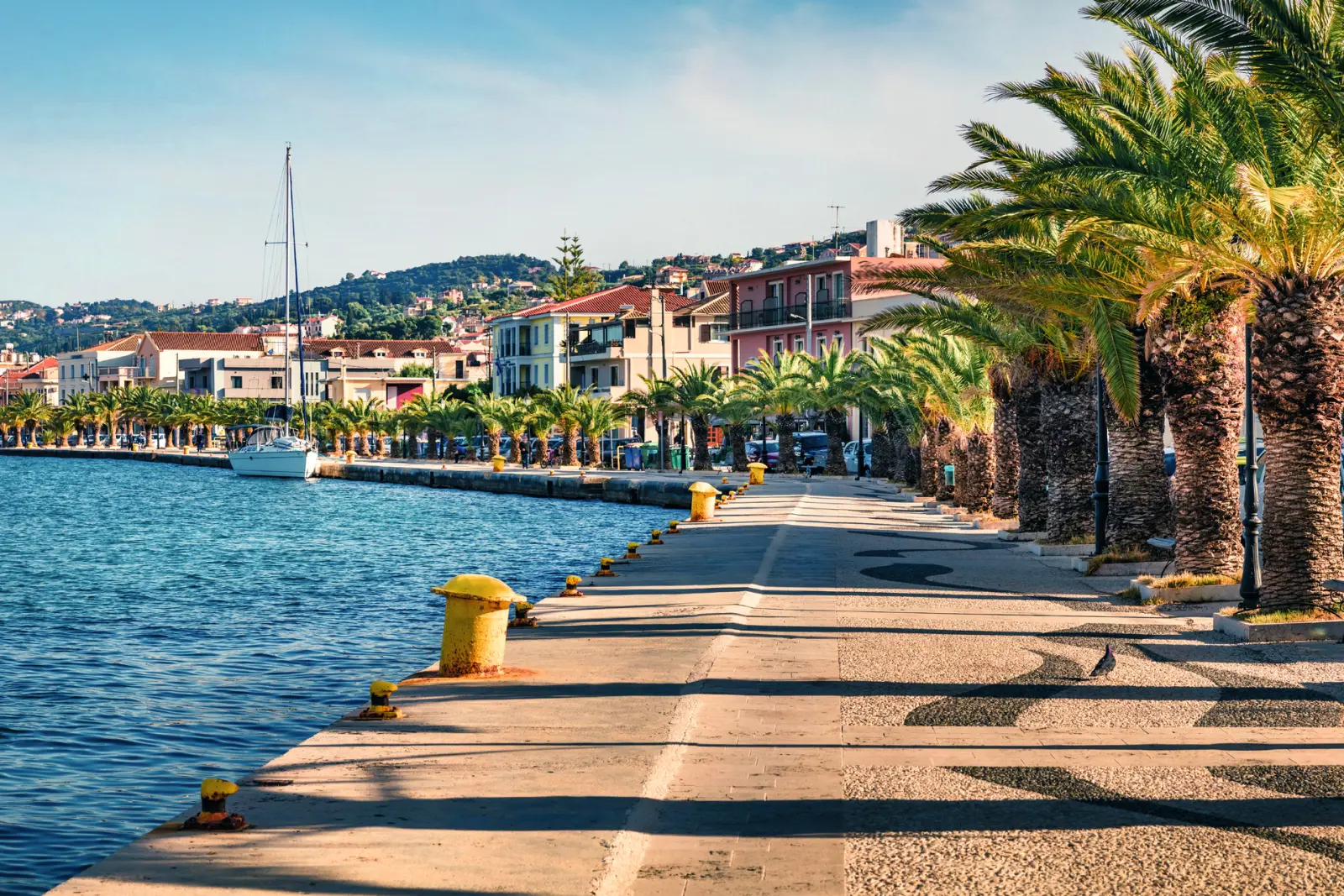 Passeggiata con palme lungo l'acqua e edifici sullo sfondo.