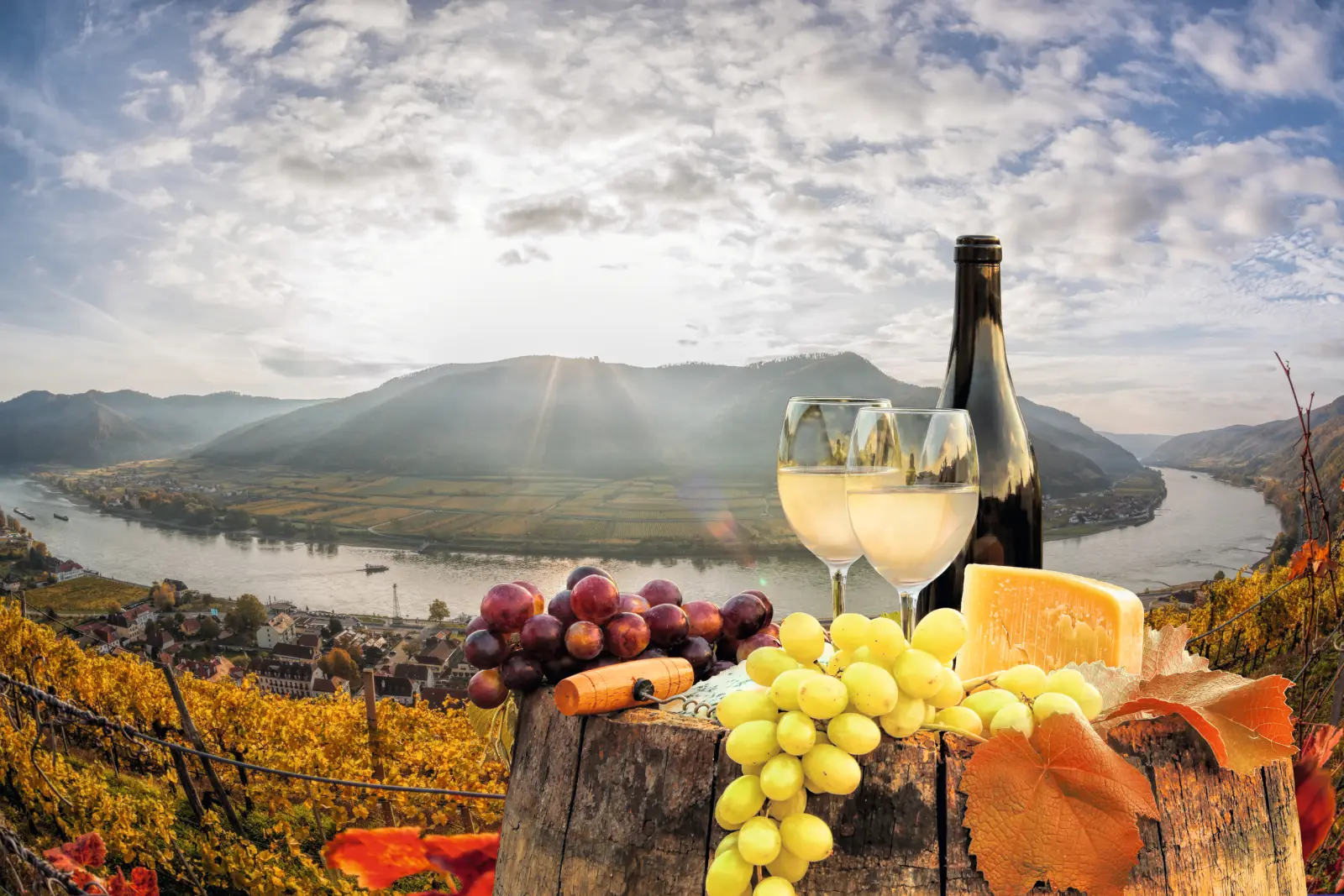 Vineyard in Spitz - Wachau image