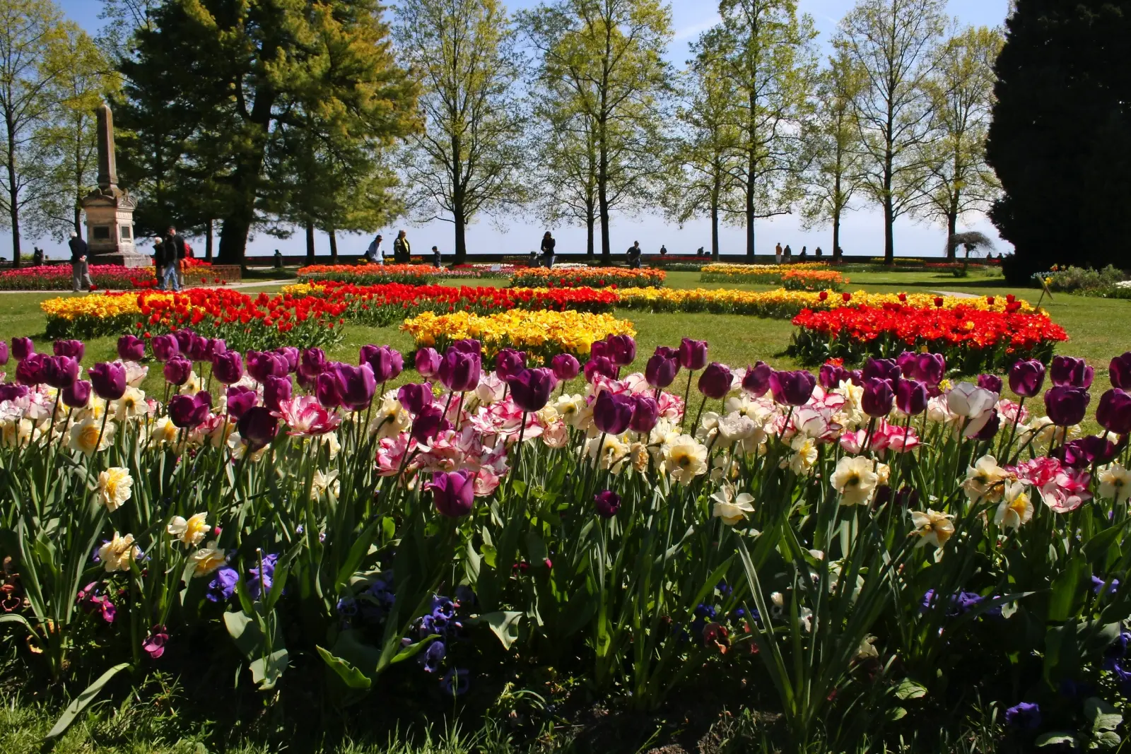 Tulip Festival Morges image