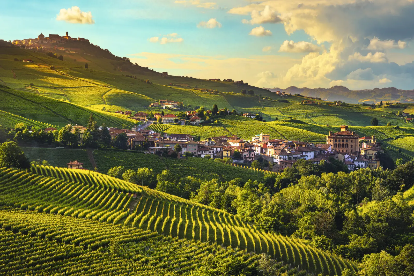 Vigneti in un paesaggio collinare al tramonto con un piccolo villaggio sullo sfondo.