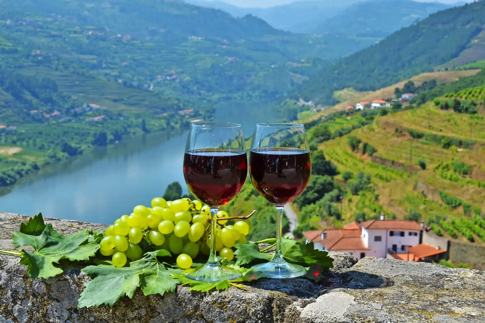 Douro image