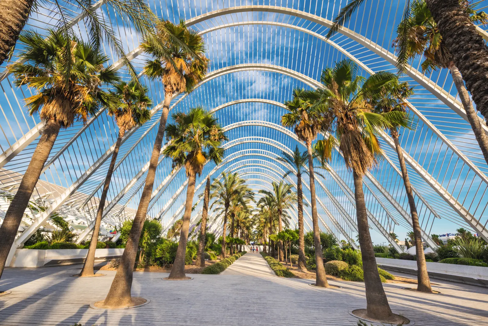 Modern pergola with palm trees beneath it and blue sky in the background.