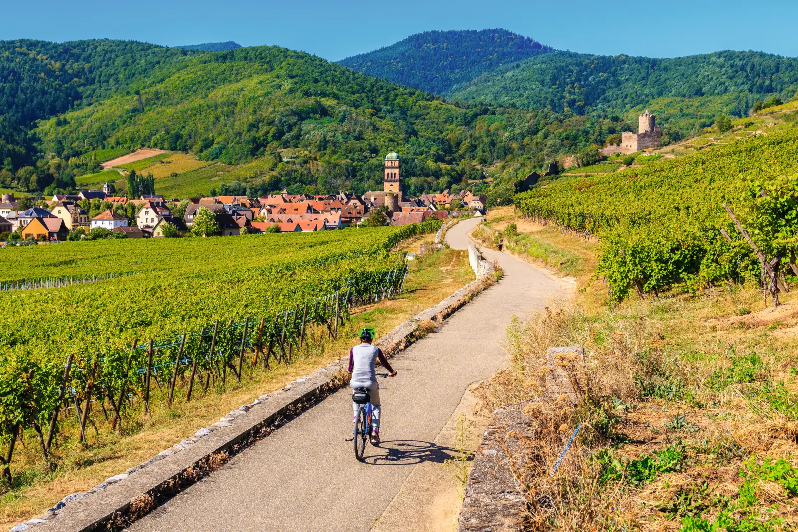 Personne à vélo à travers les vignobles, avec un village à l’arrière-plan.
