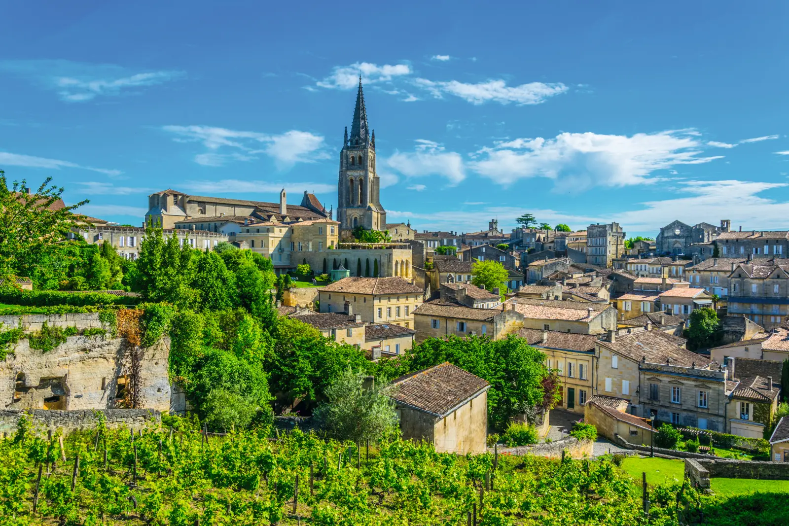 Historische Stadtlandschaft mit Kirche und Weinfeldern.