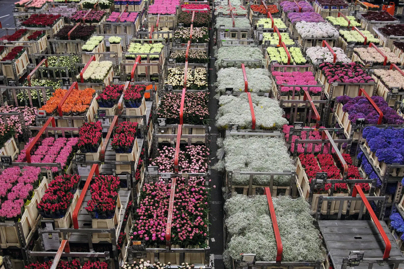 Flower warehouse with a variety of colourful flowers in crates, photographed from above.