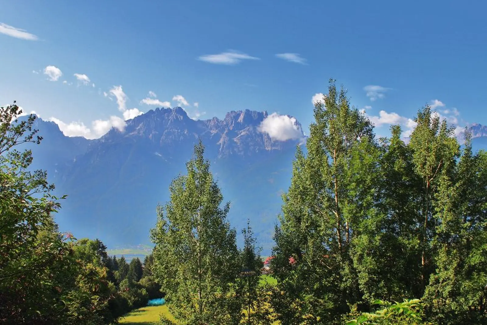 View of the Alps with trees in the foreground and a clear sky.