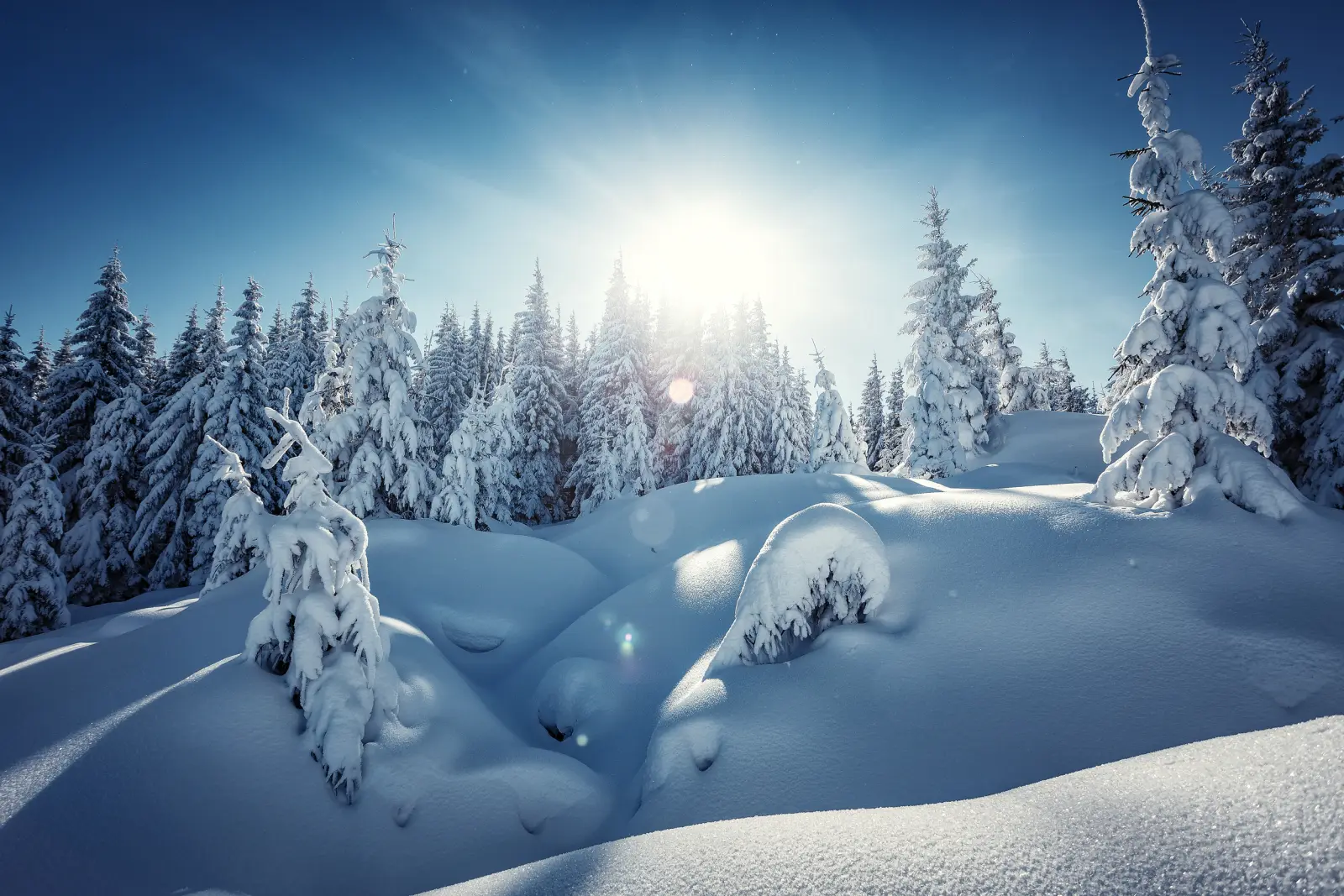 South Tyrol image