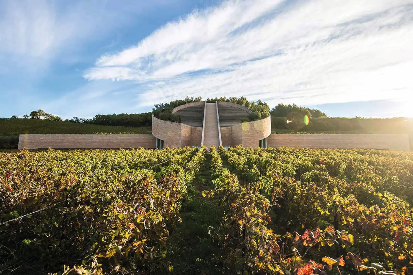 Weingut Petra, Maremma Bild