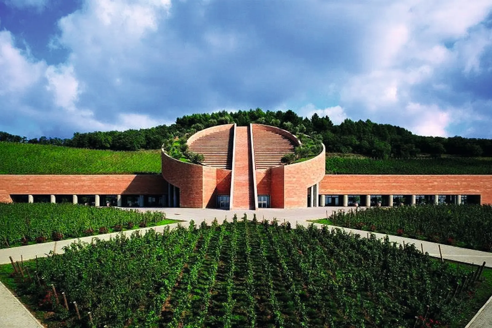 Weingut Petra, Maremma Bild