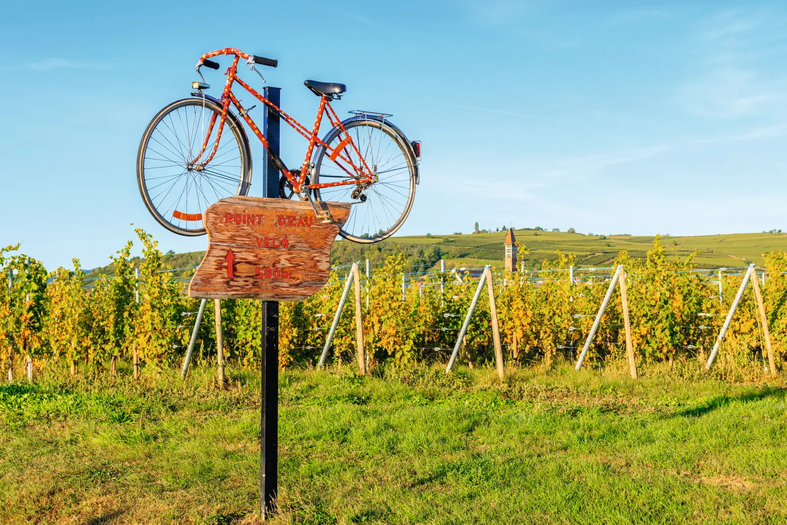 Bicicletta rossa appoggiata a un palo davanti ai vigneti sotto il sole.