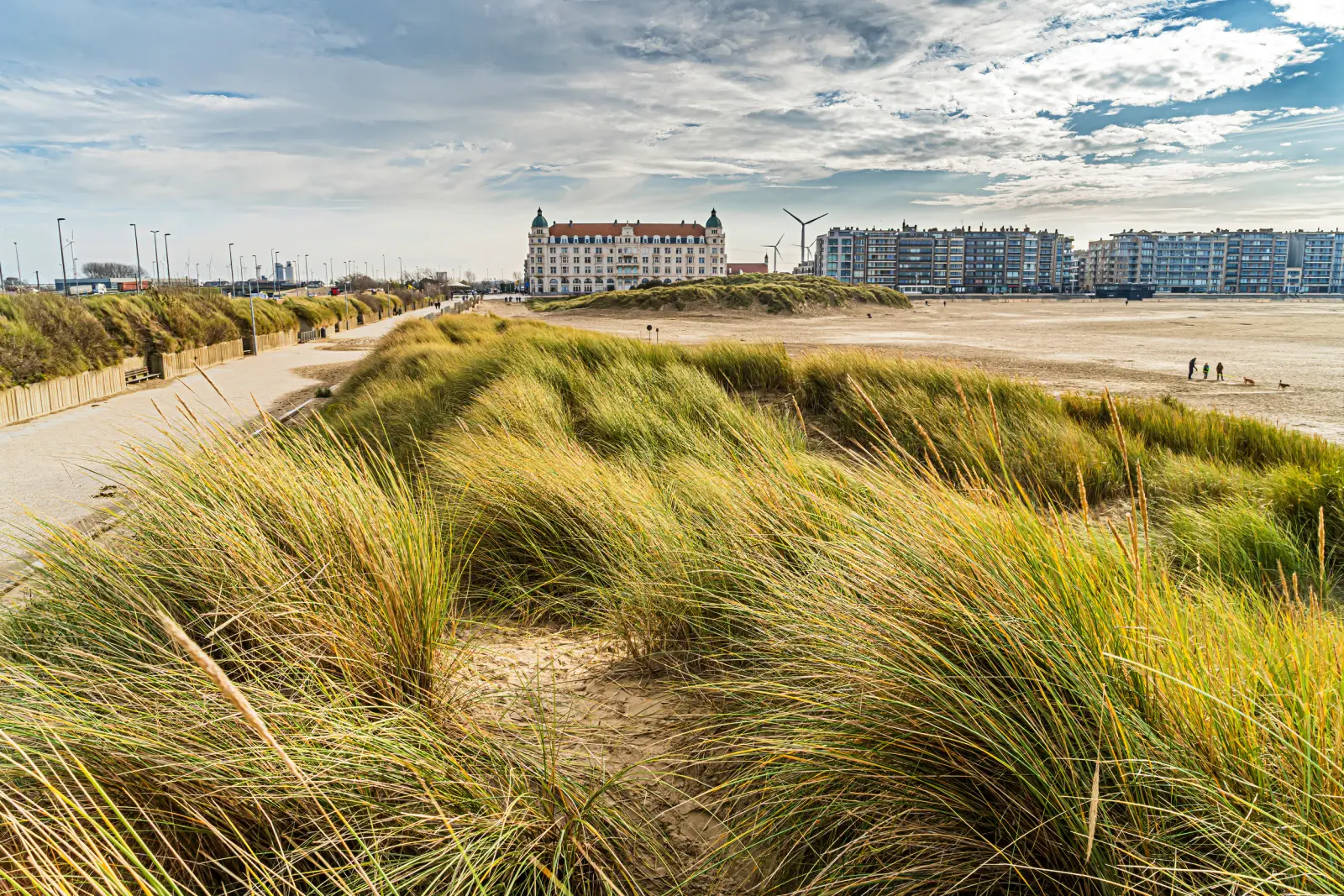 Image Côte de Zeebruges