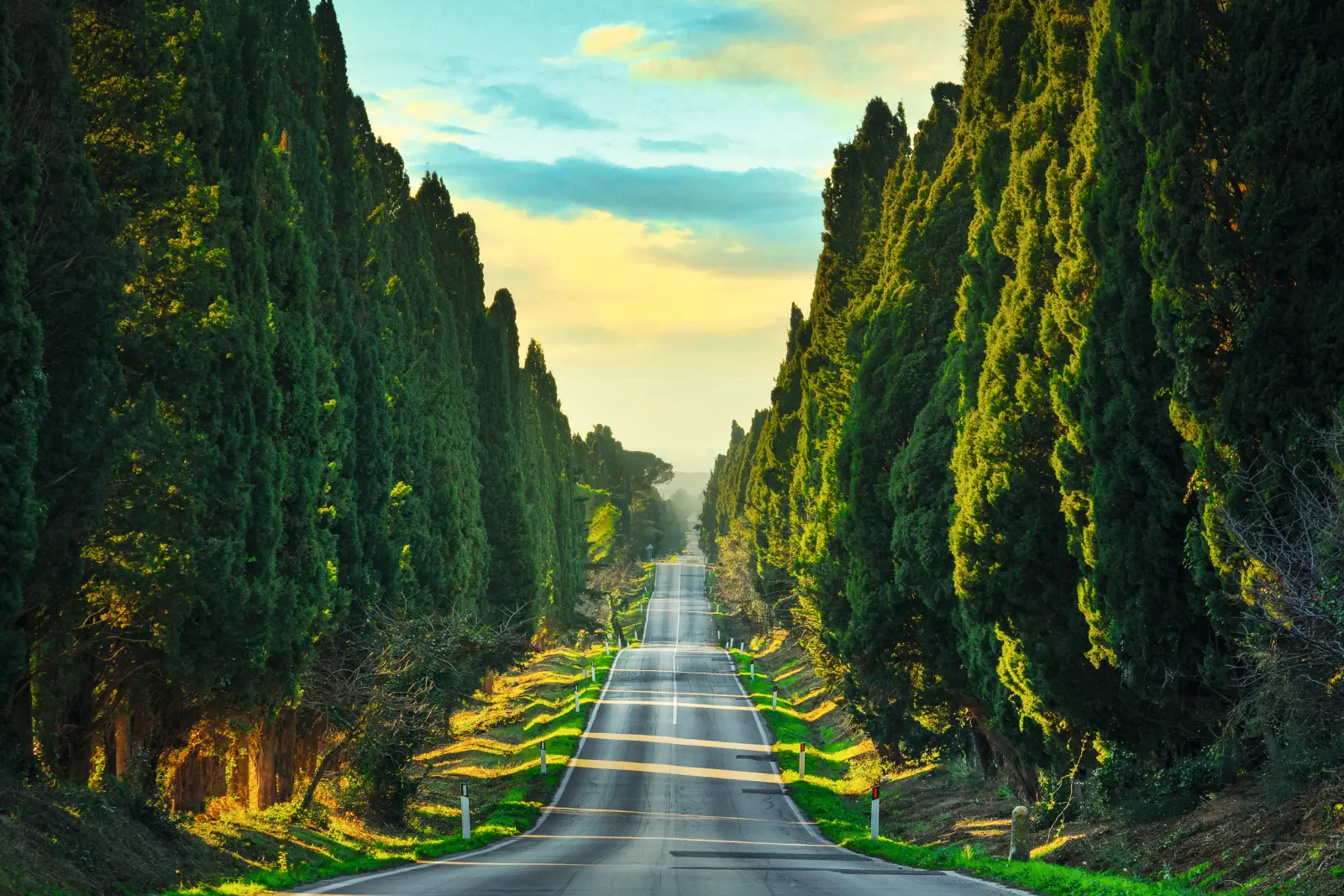 Zypressenallee in Bolgheri, Toskana, mit malerischer Landschaft bei Sonnenuntergang.