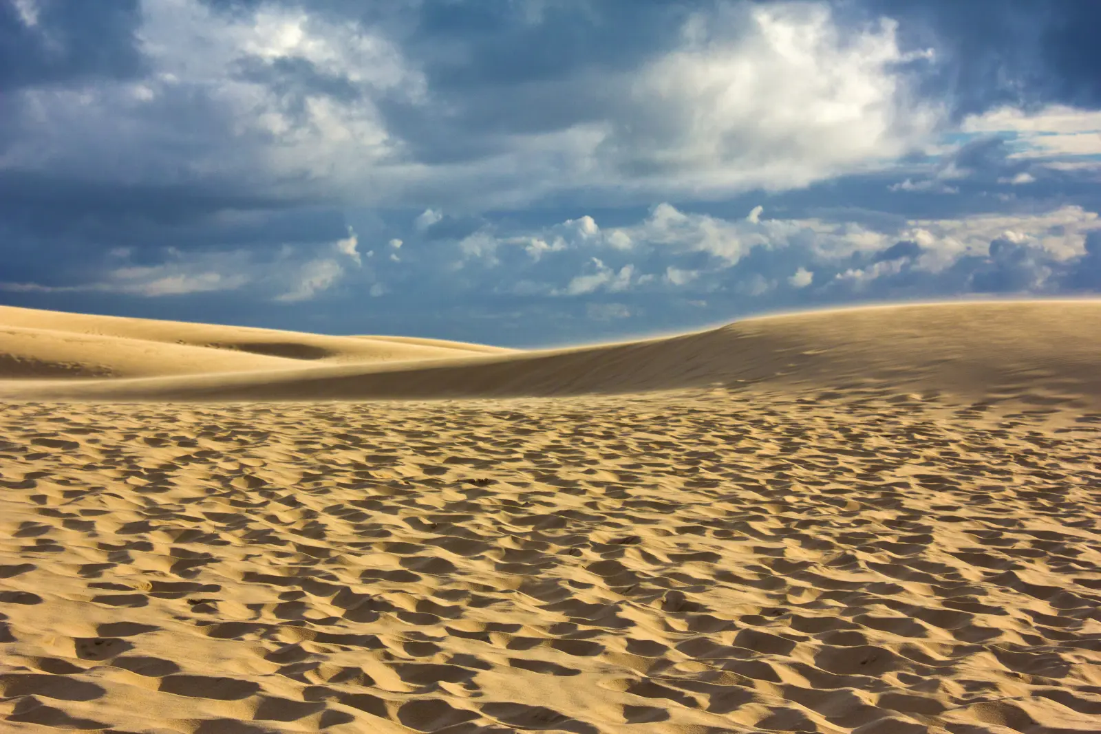 Sanddünen unter bewölktem Himmel.