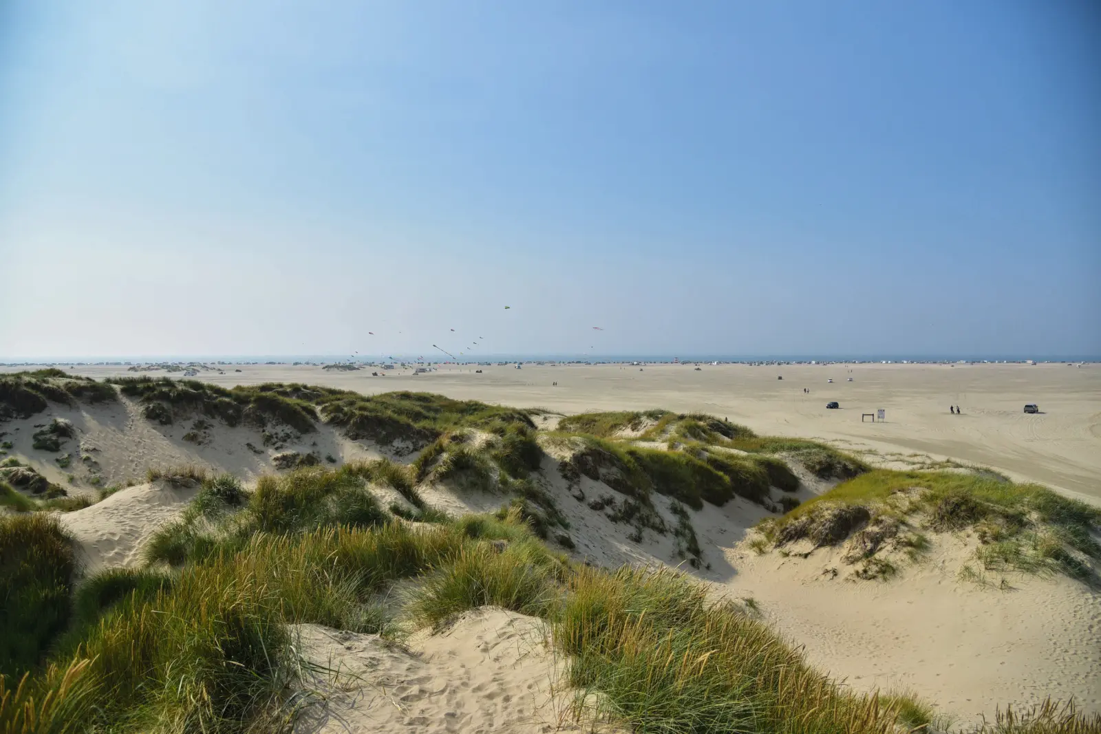 Paysage de dunes sur la plage sous un ciel dégagé.