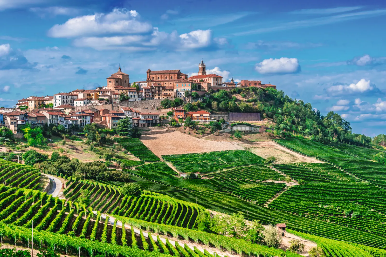 Hill town with historic buildings and surrounding vineyards under a clear sky.