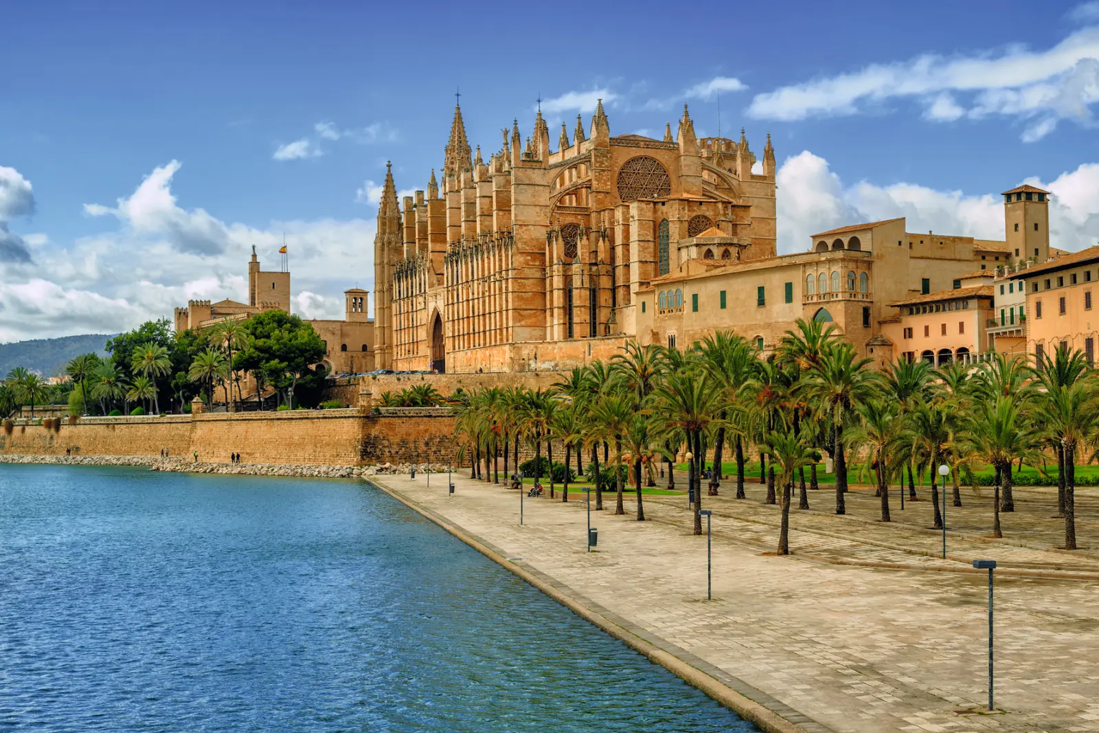 Palma de Mallorca Cathedral by the water, with palm trees in the foreground.