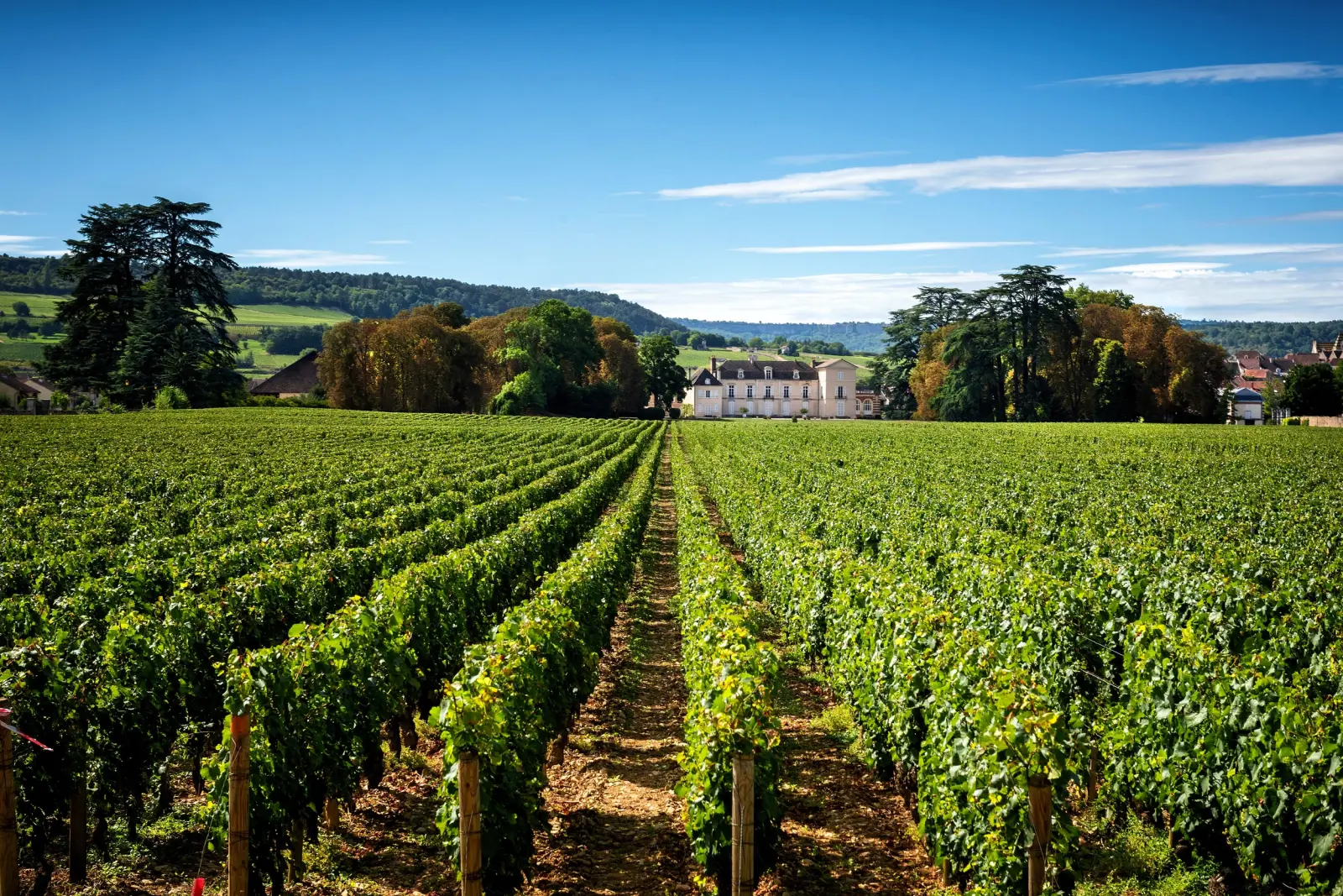 Château Meursault image