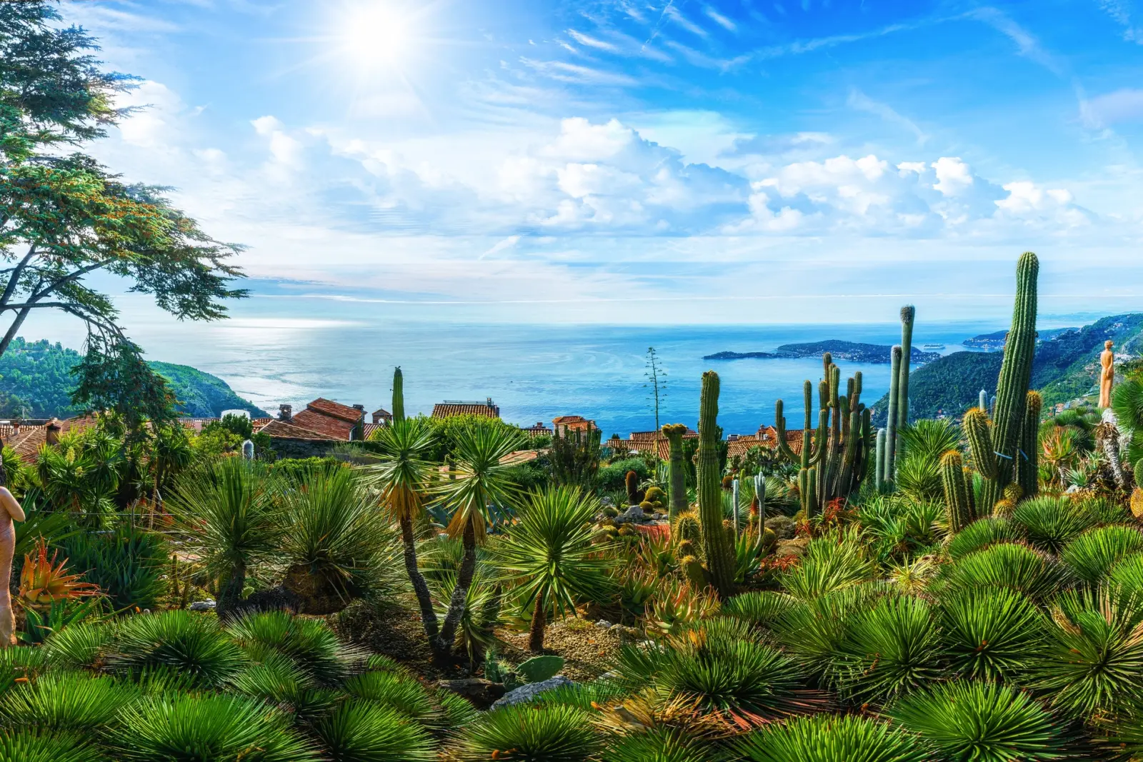 Image Vue depuis le Jardin exotique d’Èze