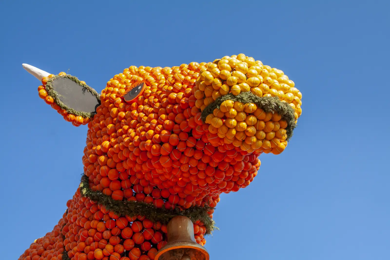 Lemon Festival Menton image