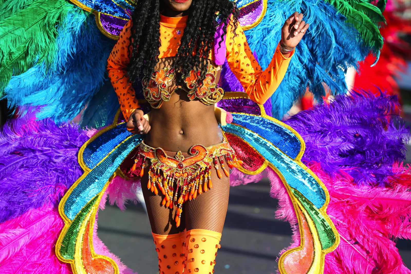 Nice Carnival image