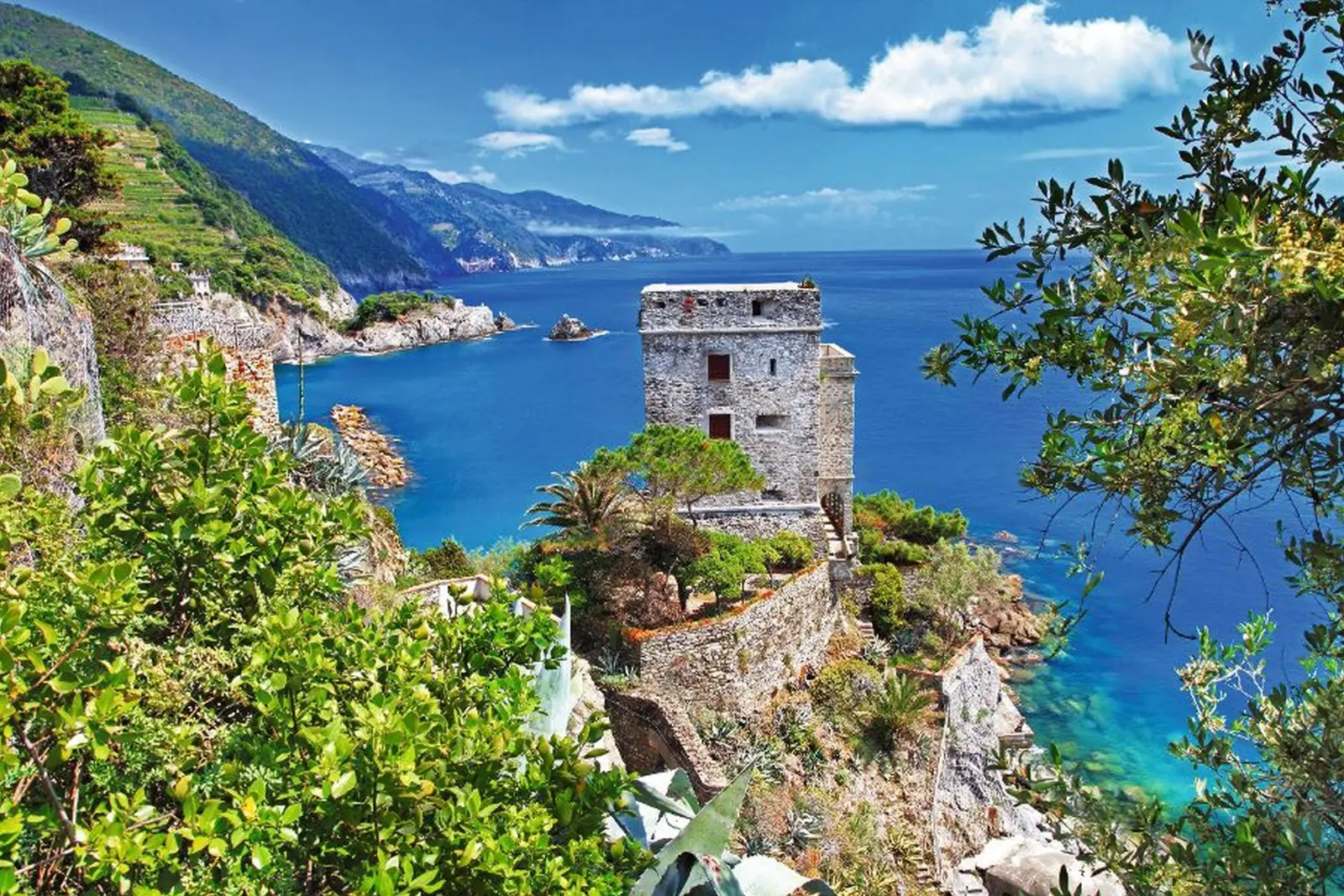 Image Monterosso