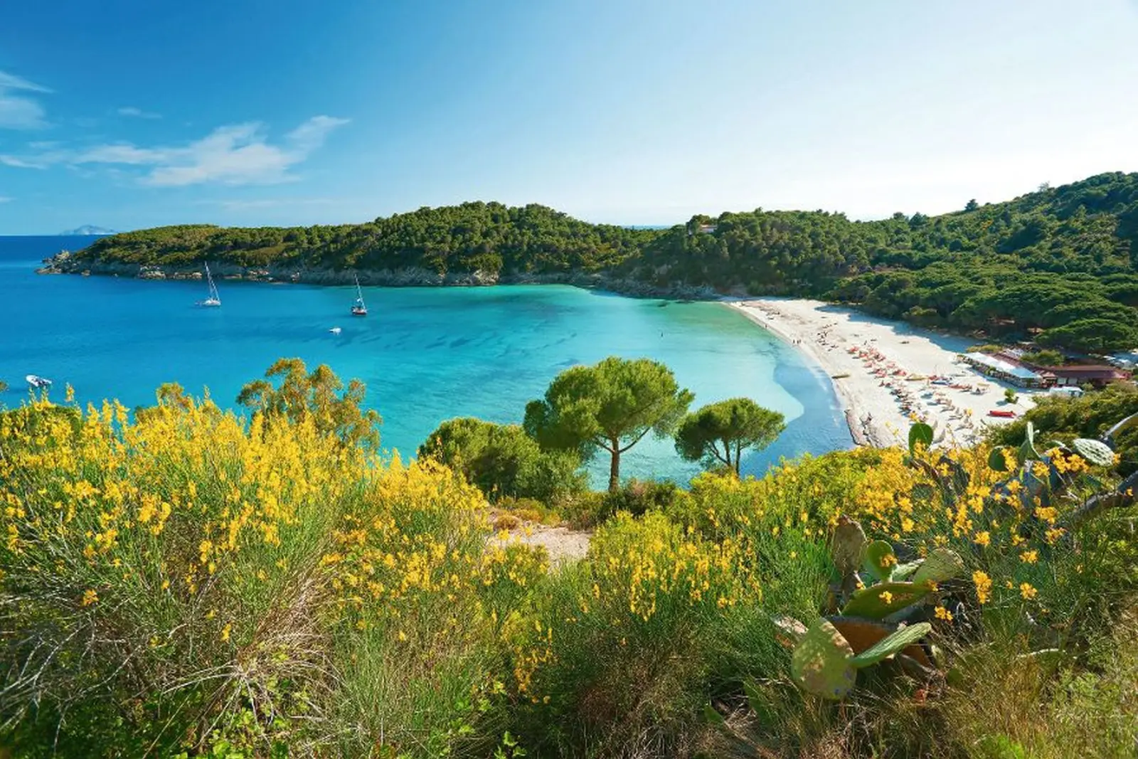 Spiaggia di Fetovaia immagine