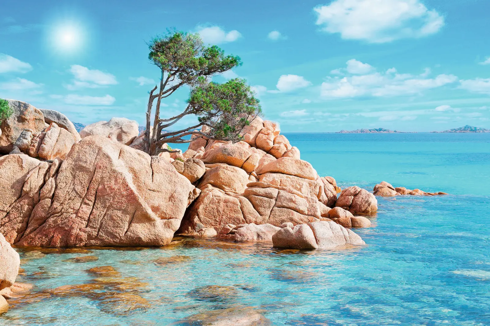 Côte rocheuse avec un arbre, au bord de la mer par une journée ensoleillée.