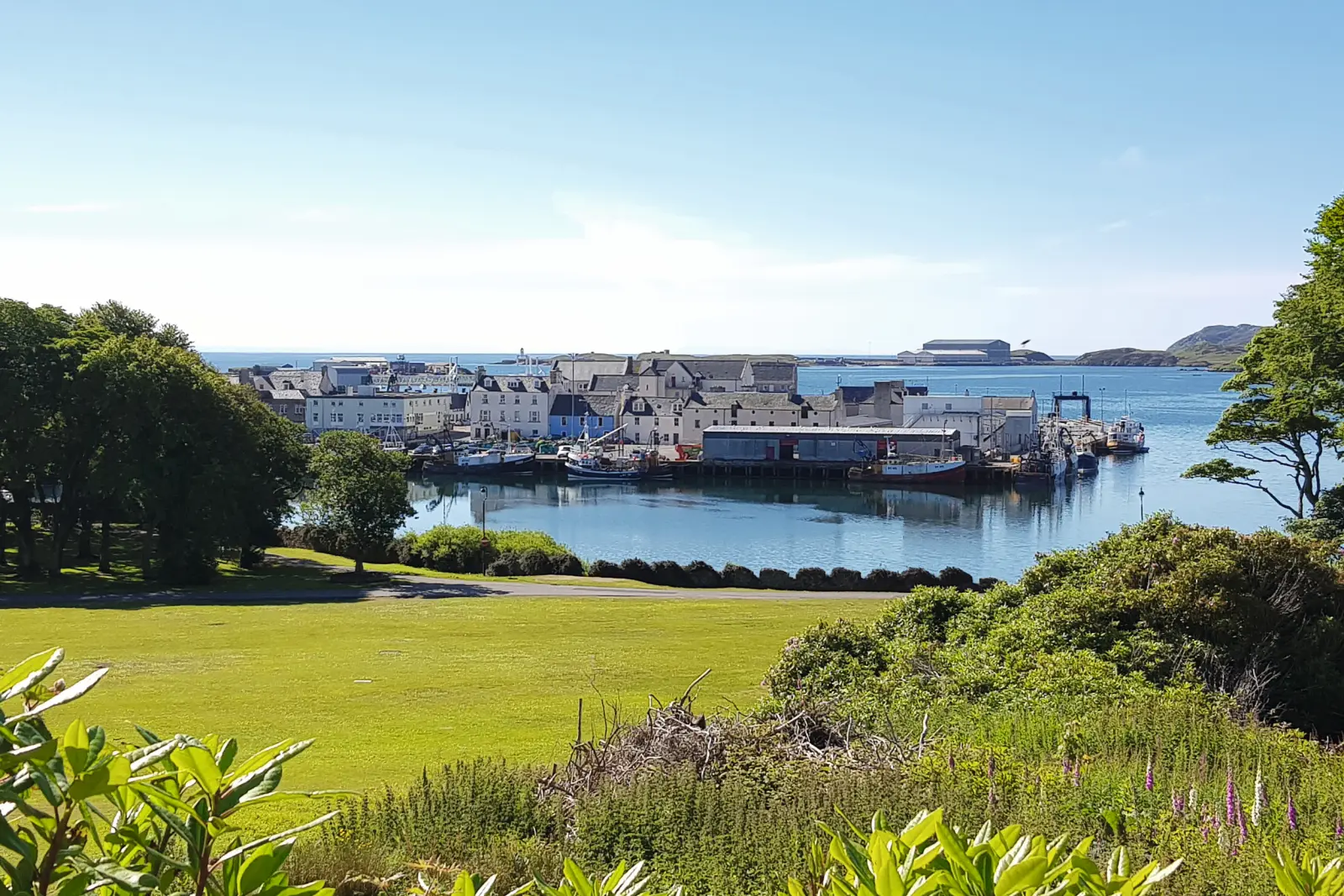 Port town with buildings by the sea, surrounded by green countryside under a clear sky.