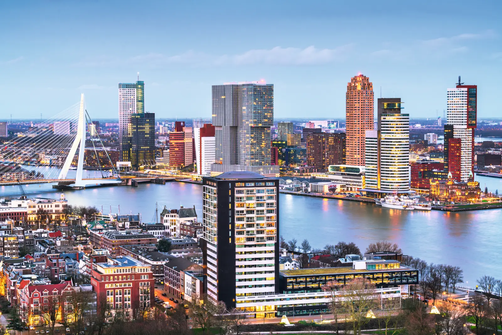 View of the Rotterdam skyline in South Holland with the Erasmus Bridge in the background.