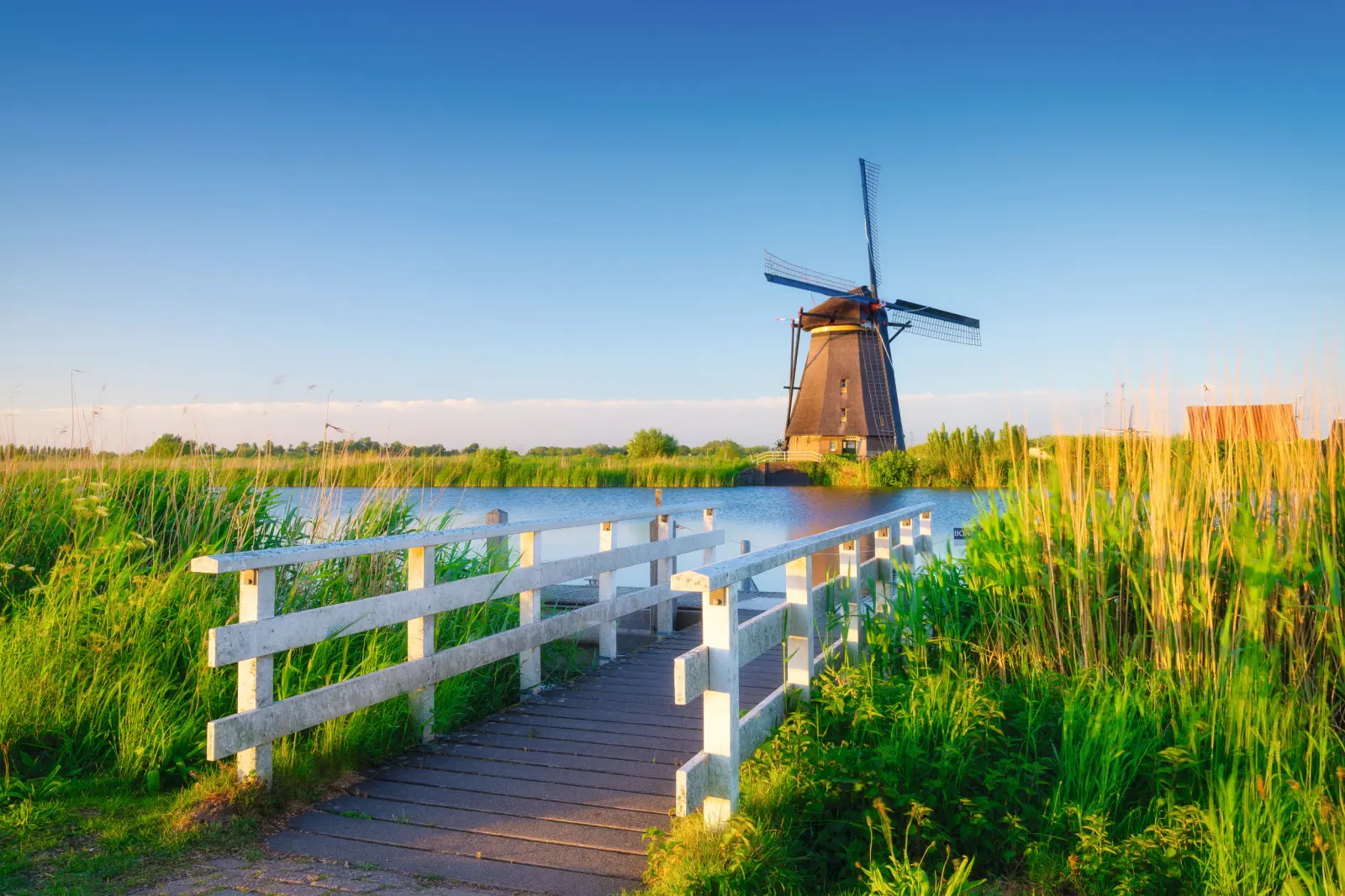 Windmill behind a bridge and reeds in the light of the setting sun