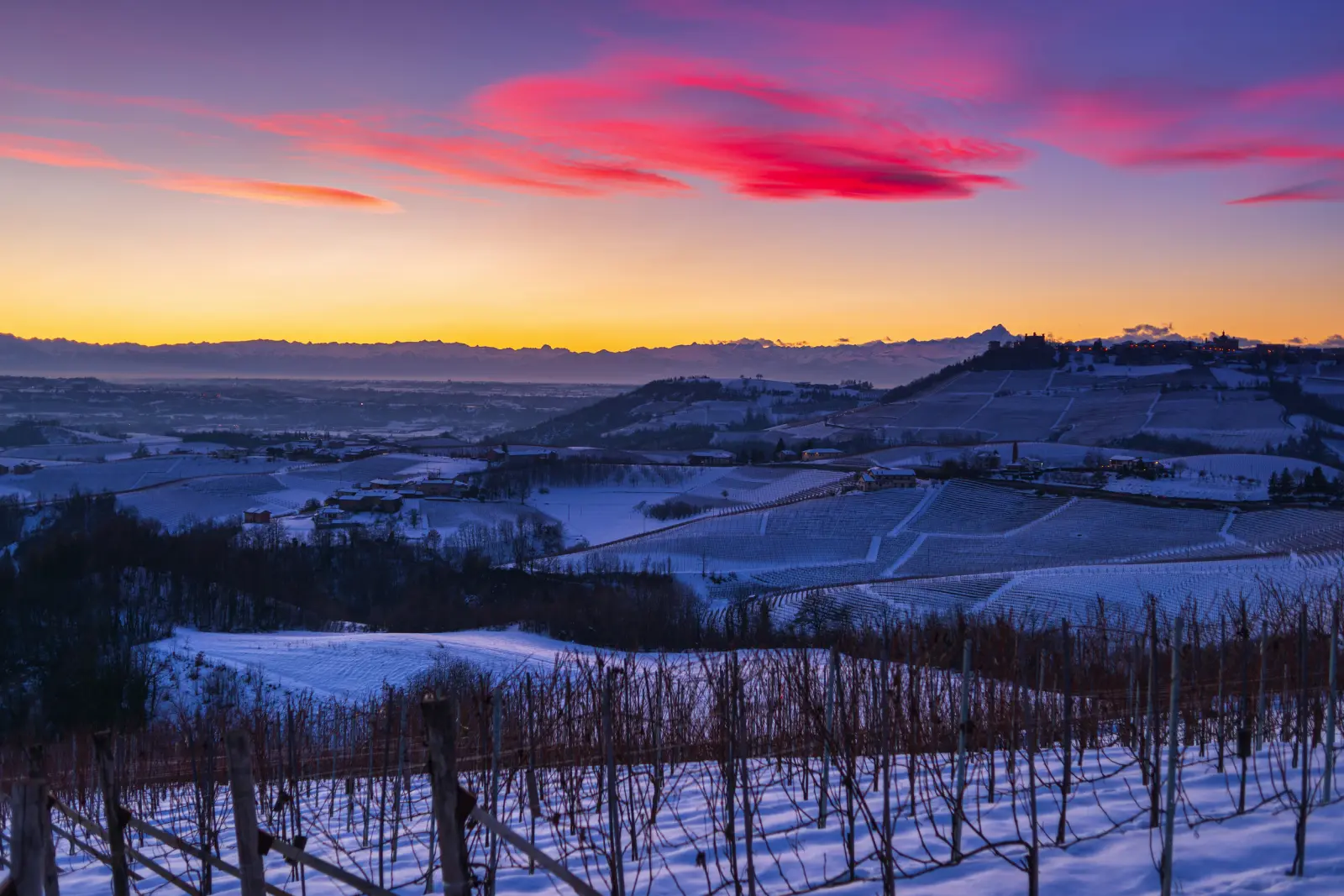 Vigneti di Barolo immagine