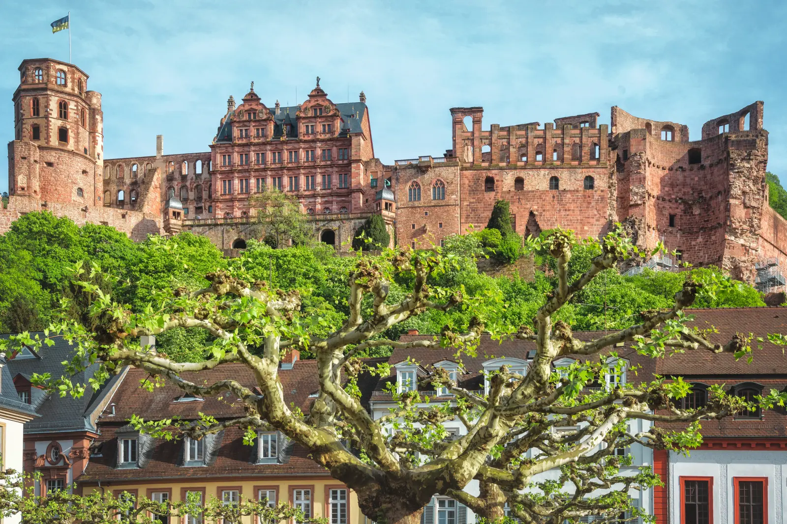 Heidelberg Castle with the old town and trees in the foreground.