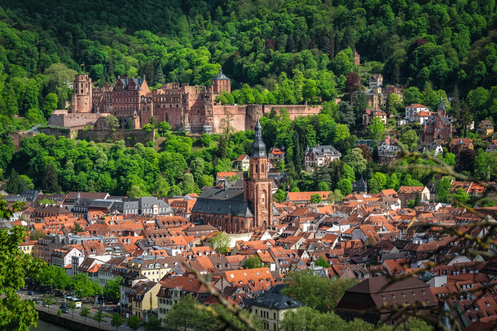 View of Heidelberg with its castle and old town in spring.