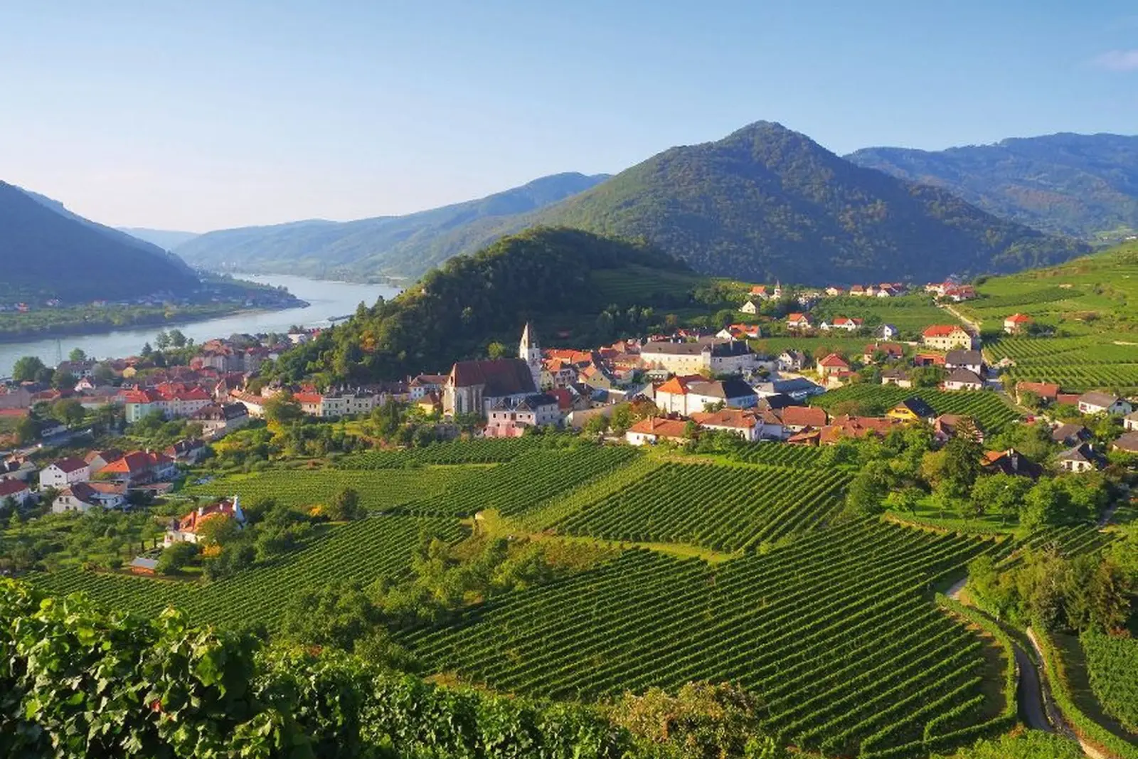 Spitz in the Wachau image