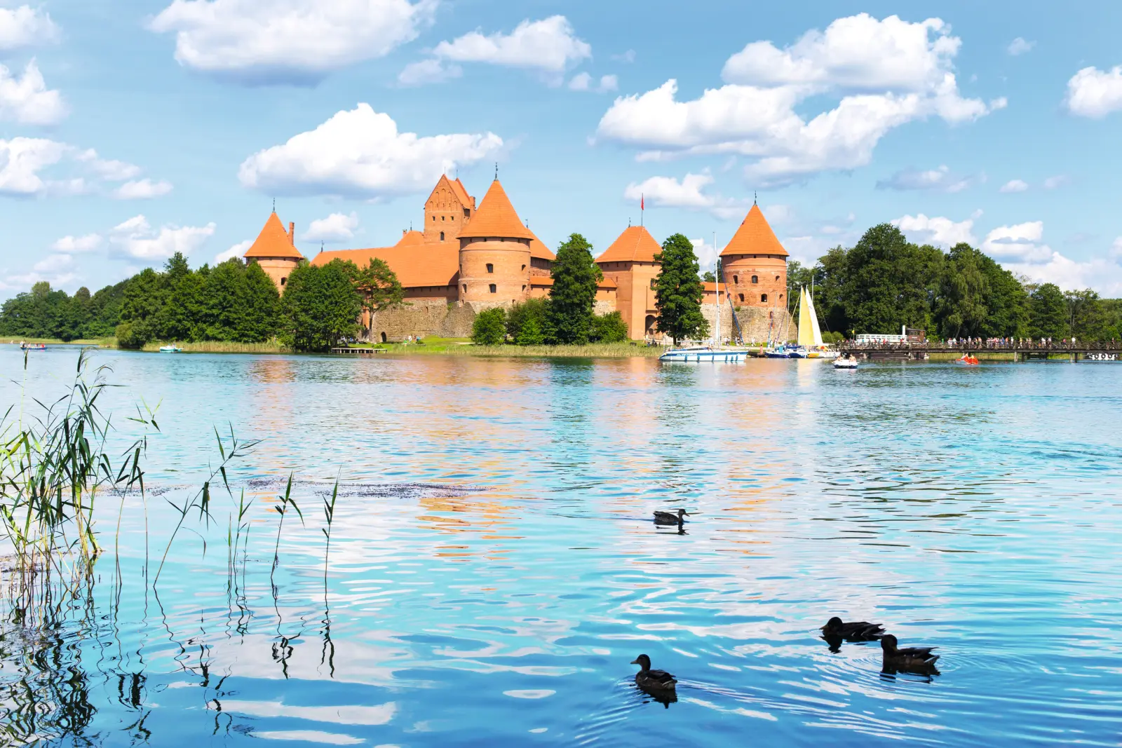 Burg auf Insel in einem See mit Enten im Vordergrund bei sonnigem Himmel