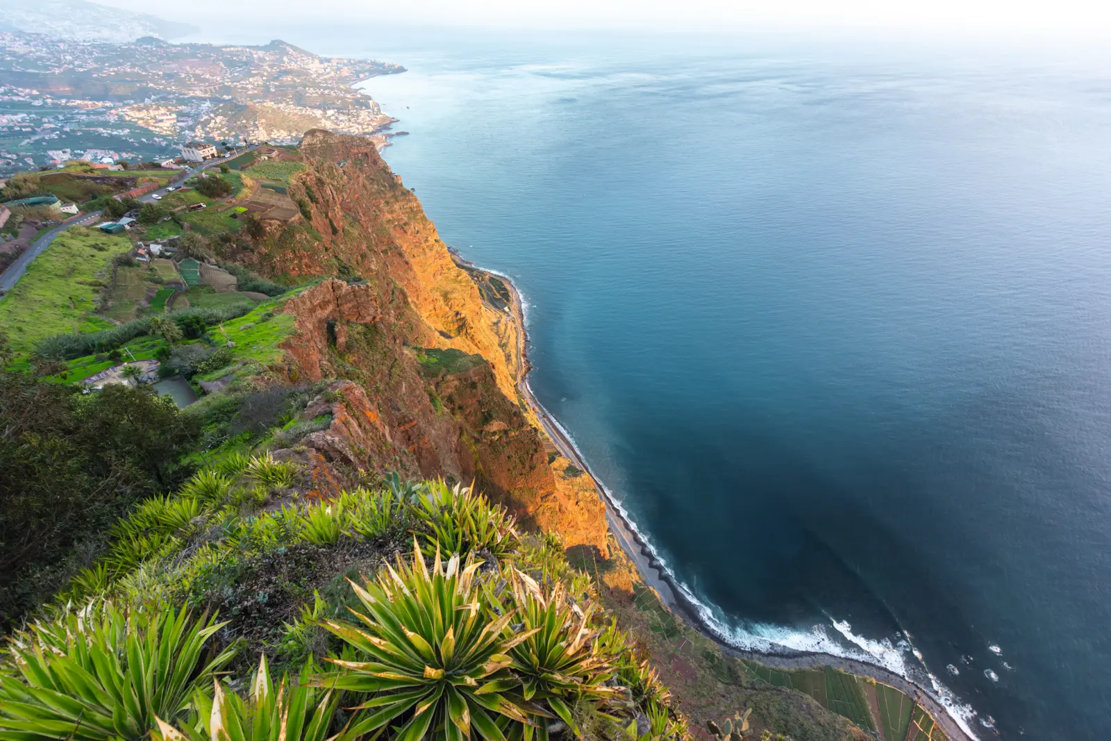 Coastline with steep cliffs and sea at sunset, covered in vegetation.