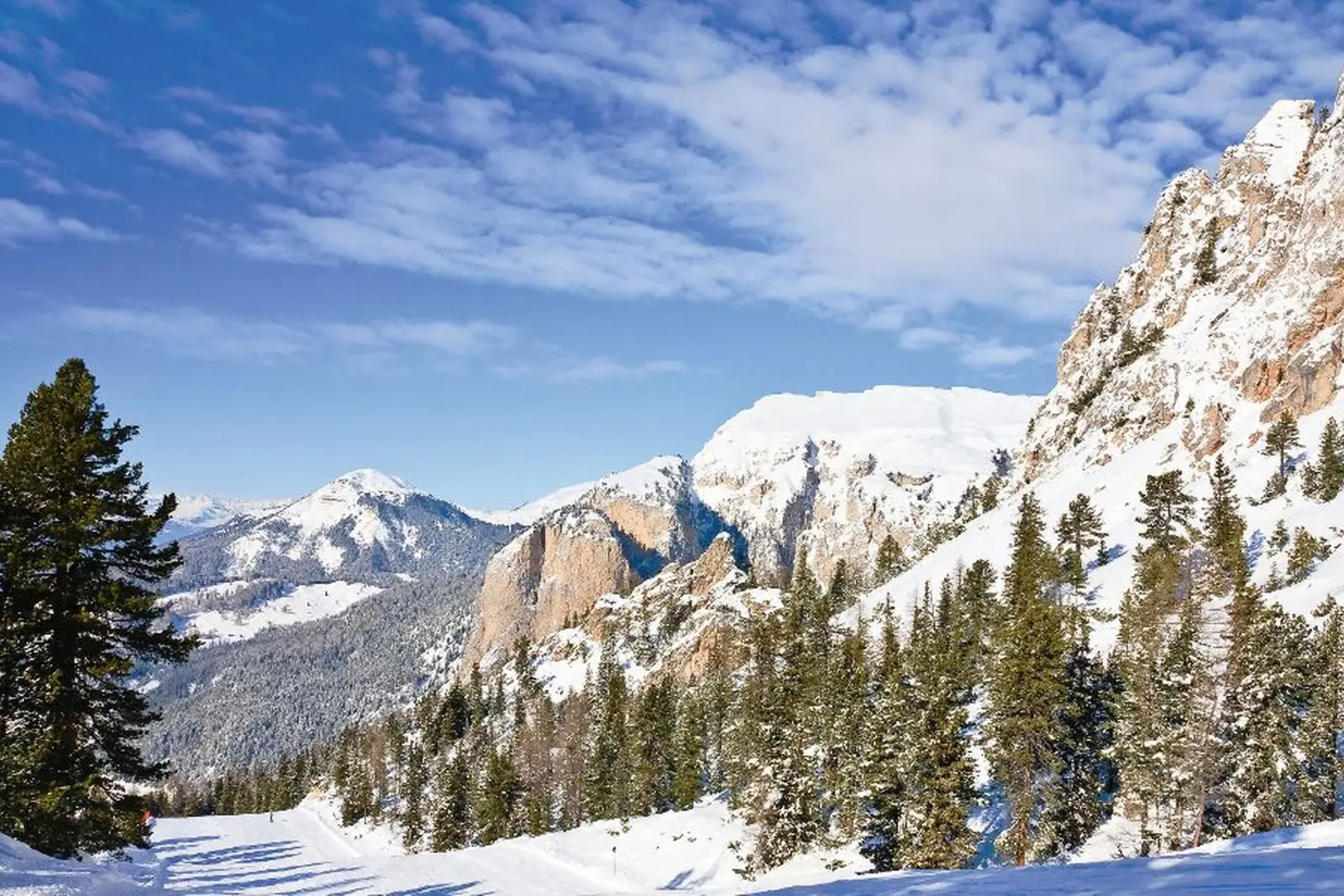 Val Gardena ski area image