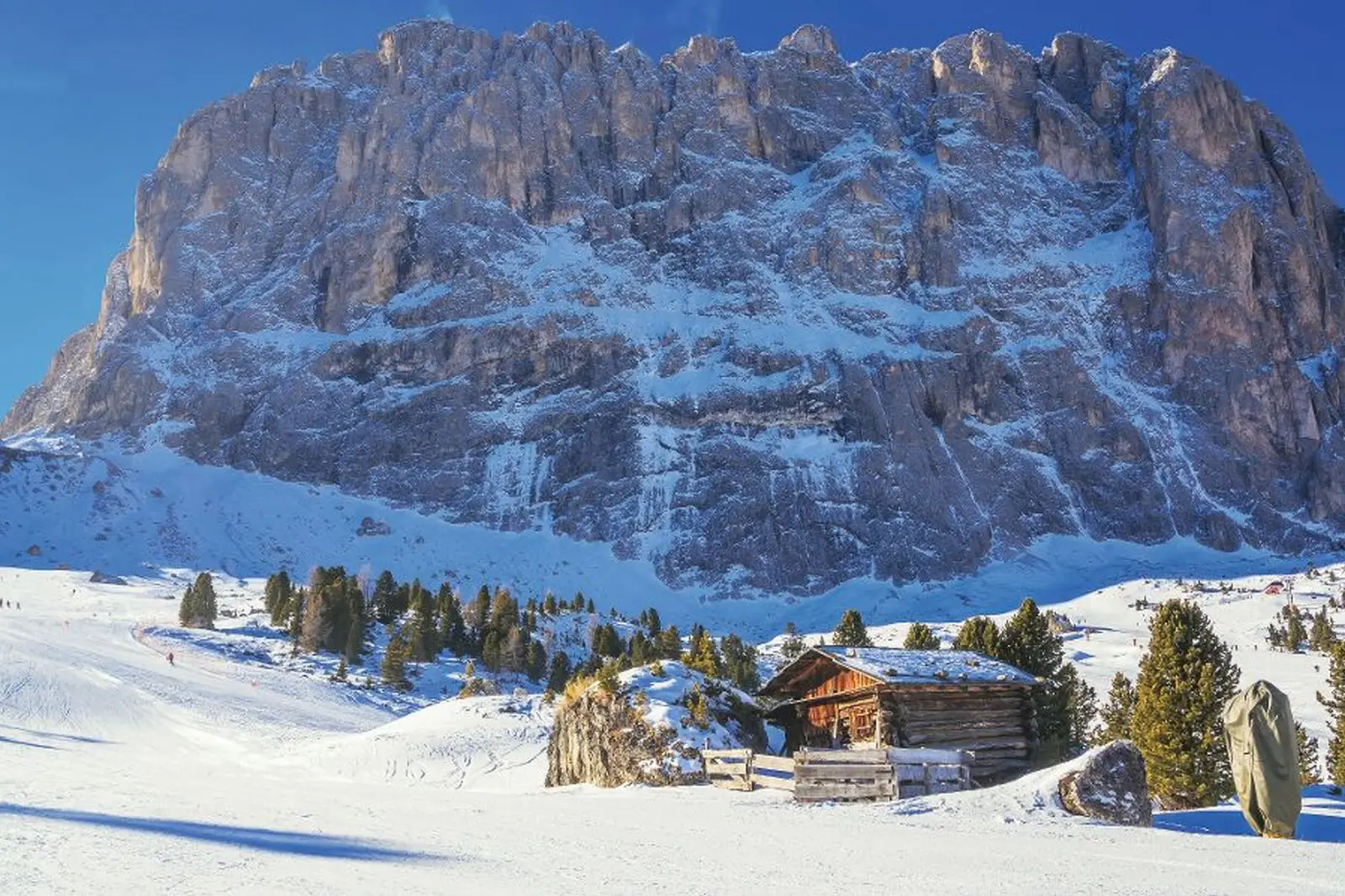 Ski area of Selva di Val Gardena image