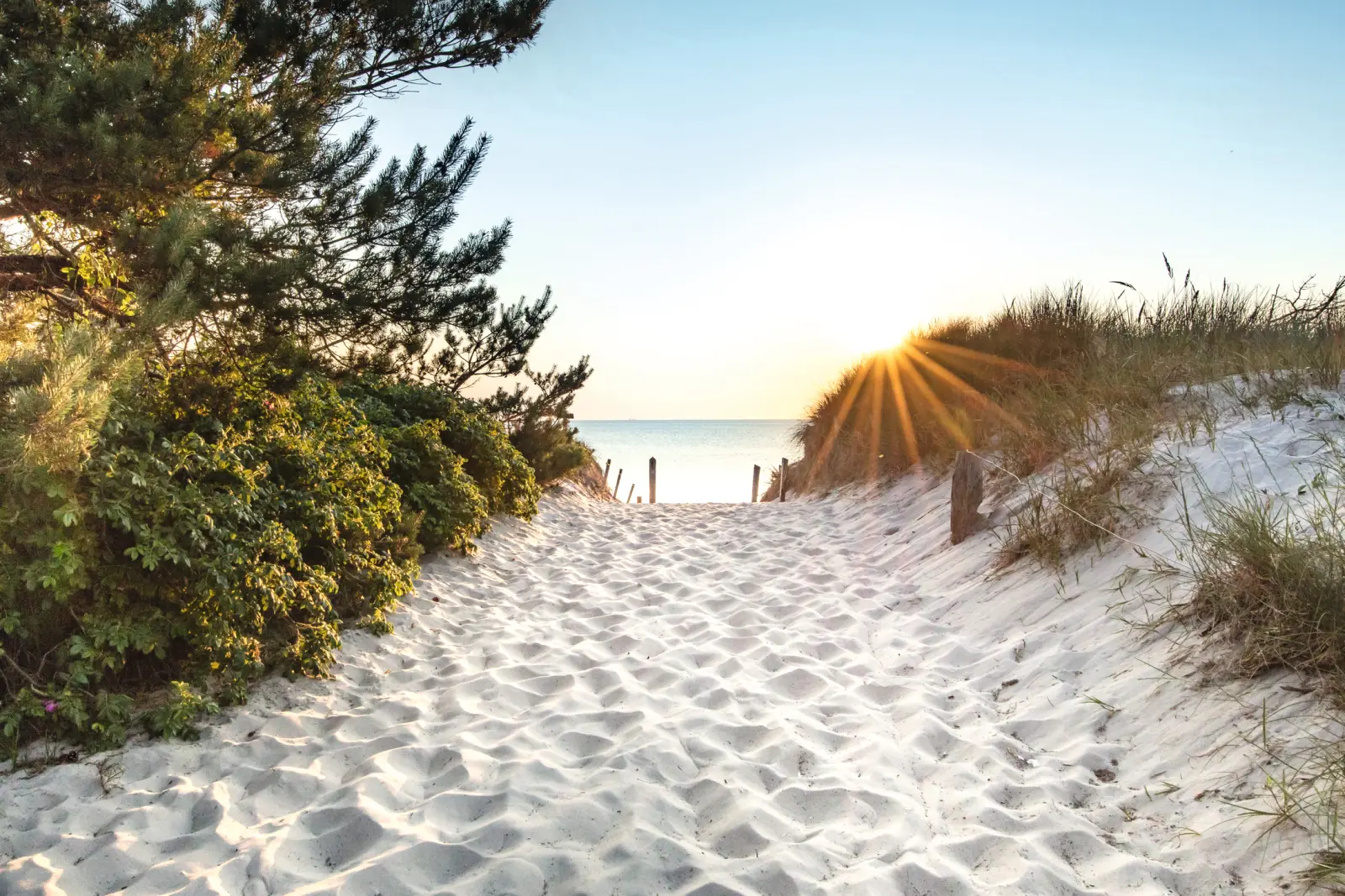 Chemin de sable à travers les dunes menant à la plage au lever du soleil.