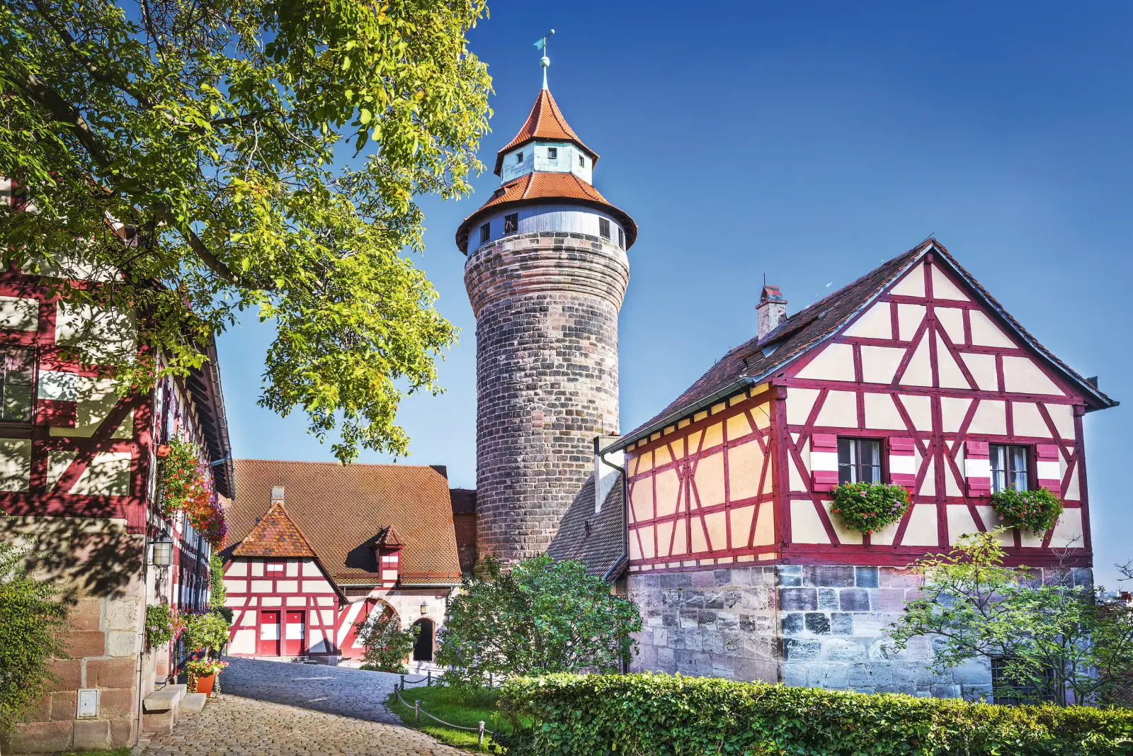 Half-timbered houses and a medieval tower under a sunny sky.