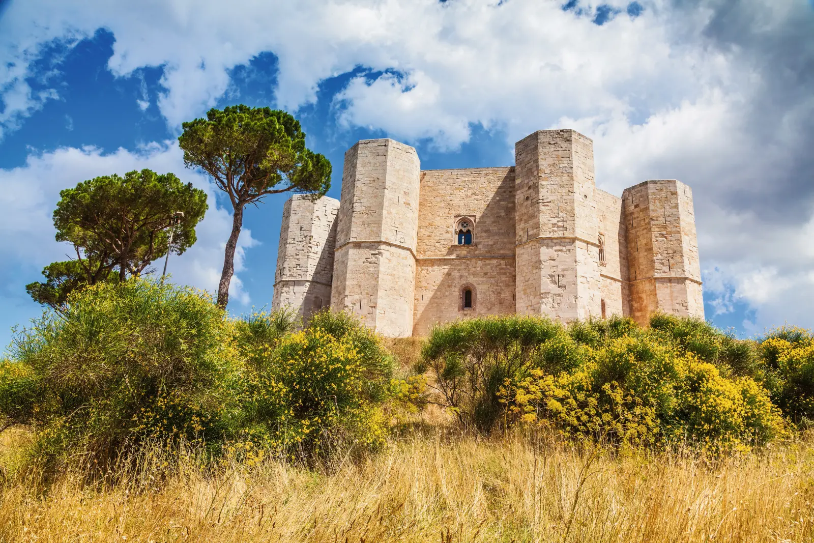 Castel del Monte immagine